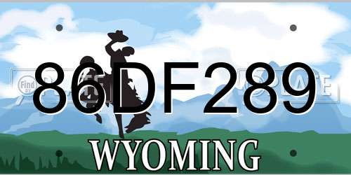 86DF289 Wyoming License Plate