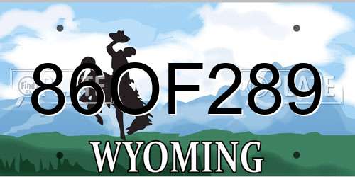 86OF289 Wyoming License Plate