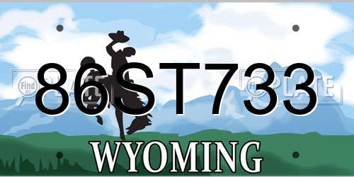 86ST733 Wyoming License Plate