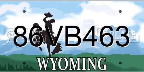86VB463 Wyoming License Plate