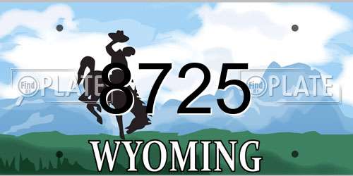 8725 Wyoming License Plate