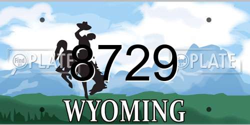 8729 Wyoming License Plate