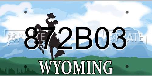 872B03 Wyoming License Plate