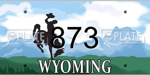 873 Wyoming License Plate