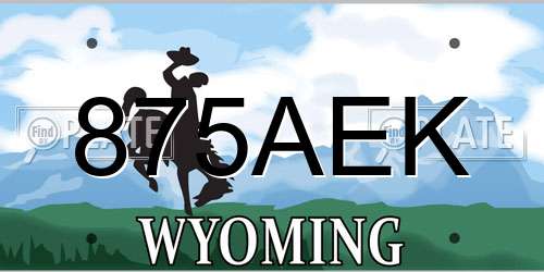 875AEK Wyoming License Plate