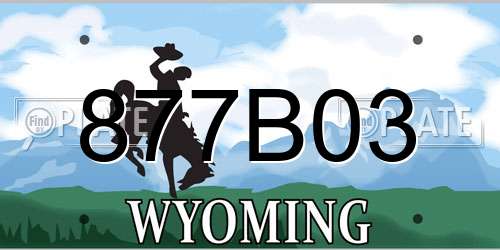 877B03 Wyoming License Plate