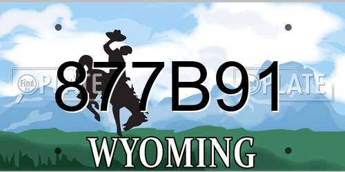 877B91 Wyoming License Plate