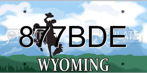 877BDE Wyoming License Plate