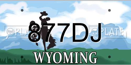 877DJ Wyoming License Plate
