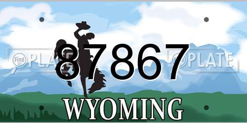 87867 Wyoming License Plate
