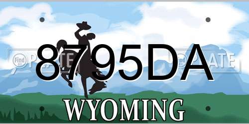 8795DA Wyoming License Plate