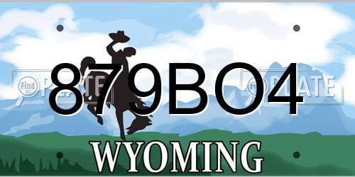 879BO4 Wyoming License Plate