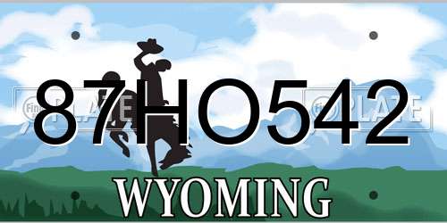 87HO542 Wyoming License Plate