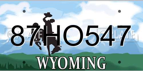 87HO547 Wyoming License Plate