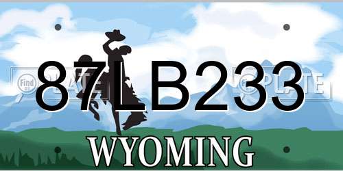 87LB233 Wyoming License Plate