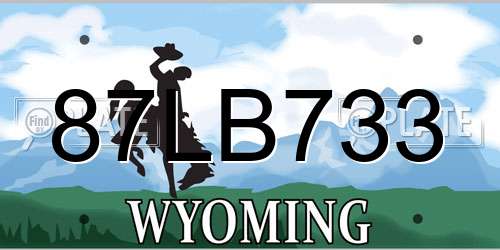 87LB733 Wyoming License Plate
