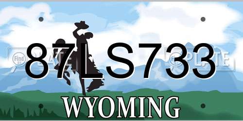 87LS733 Wyoming License Plate