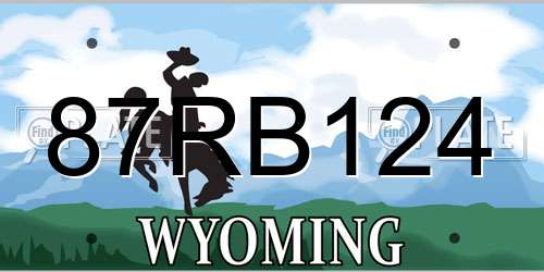 87RB124 Wyoming License Plate