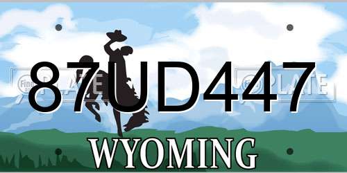87UD447 Wyoming License Plate