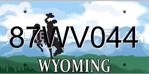 87WV044 Wyoming License Plate