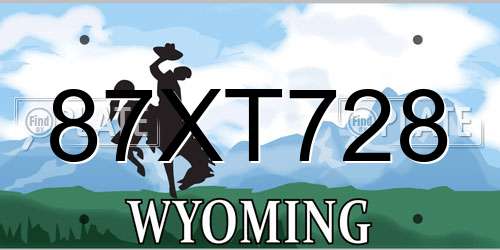 87XT728 Wyoming License Plate