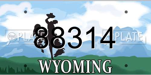88314 Wyoming License Plate