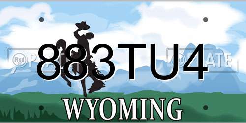 883TU4 Wyoming License Plate
