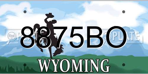 8875BO Wyoming License Plate