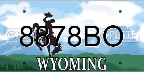 8878BO Wyoming License Plate