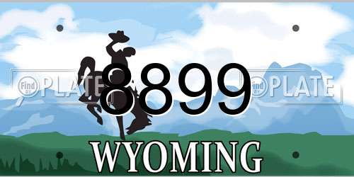 8899 Wyoming License Plate