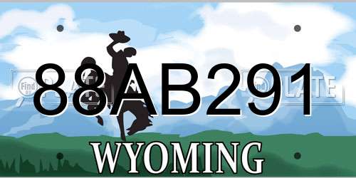 88AB291 Wyoming License Plate
