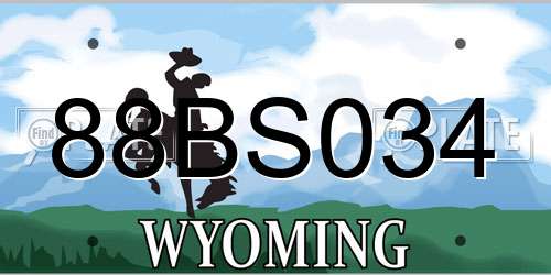 88BS034 Wyoming License Plate