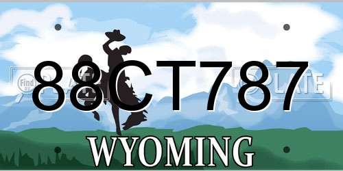 88CT787 Wyoming License Plate
