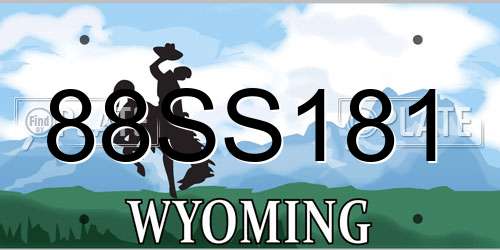 88SS181 Wyoming License Plate