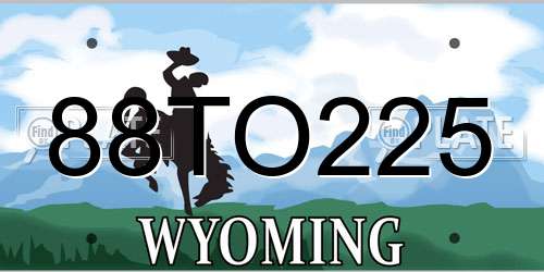 88TO225 Wyoming License Plate