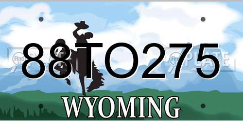 88TO275 Wyoming License Plate