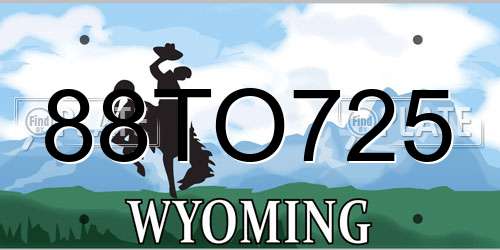 88TO725 Wyoming License Plate