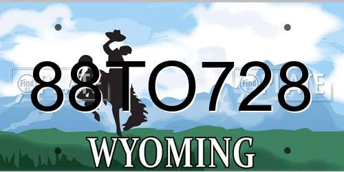 88TO728 Wyoming License Plate