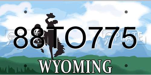 88TO775 Wyoming License Plate