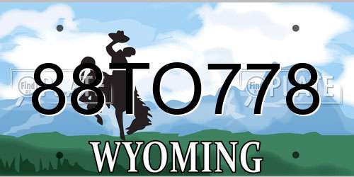 88TO778 Wyoming License Plate