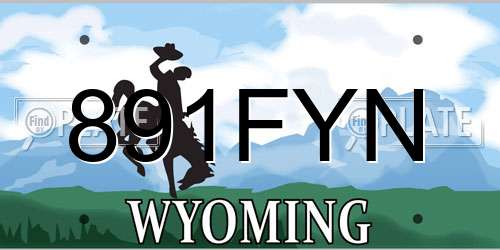 891FYN Wyoming License Plate