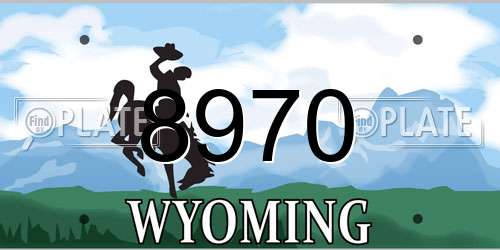 8970 Wyoming License Plate