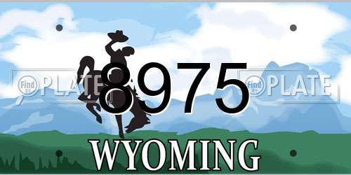 8975 Wyoming License Plate
