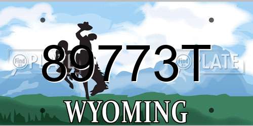 89773T Wyoming License Plate