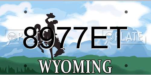 8977ET Wyoming License Plate