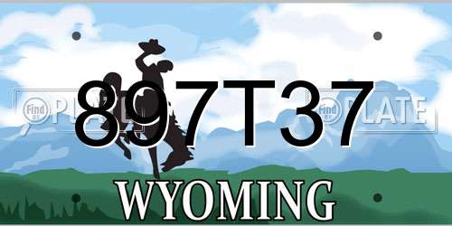 897T37 Wyoming License Plate