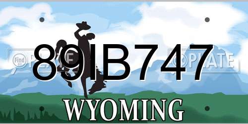 89IB747 Wyoming License Plate