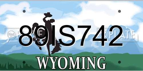 89IS742 Wyoming License Plate
