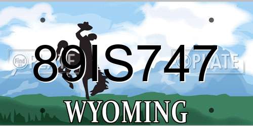 89IS747 Wyoming License Plate