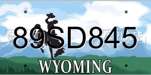 89SD845 Wyoming License Plate